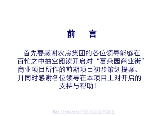 《商业街策划报告》PPT课件