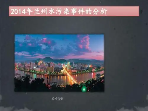 污染水事件分析PPT