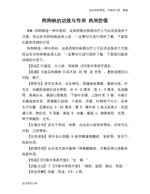 狗狗秧的功效与作用 药用价值
