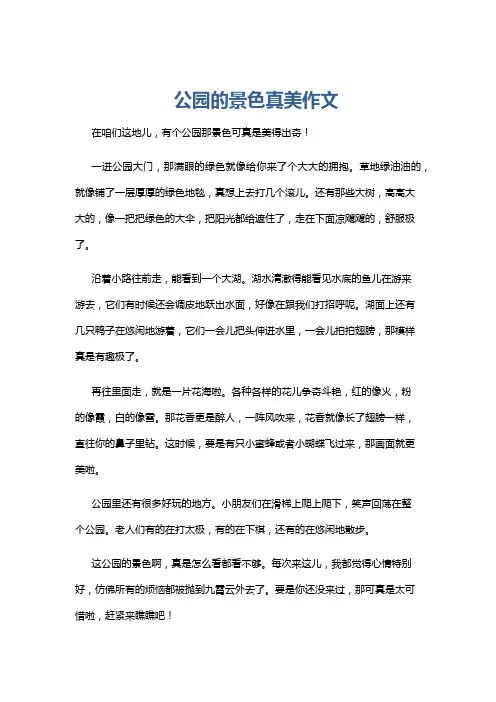 公园的景色真美作文