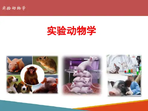 实验动物营养控制—实验动物饲料质量标准