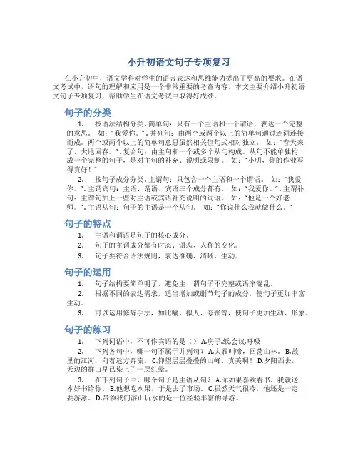 小升初语文句子专项复习