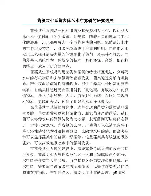 菌藻共生系统去除污水中氮磷的研究进展