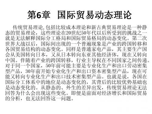 国际经济学第6章