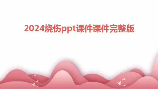 2024版烧伤ppt课件课件完整版