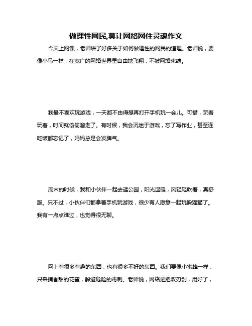 做理性网民,莫让网络网住灵魂作文