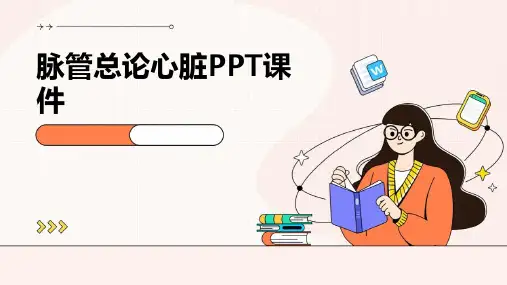 脉管总论心脏PPT课件