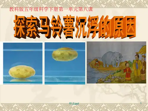 教科版五年级科学下册第一单元第八课探索马铃薯沉浮的原因