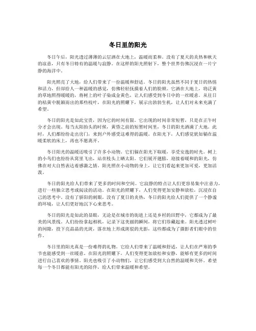 冬日里的阳光