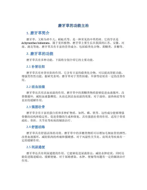 磨牙草的功能主治