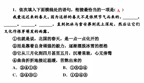 部编人教版语文七上期末 专项复习 句子的衔接与排序 习题课件  PPT
