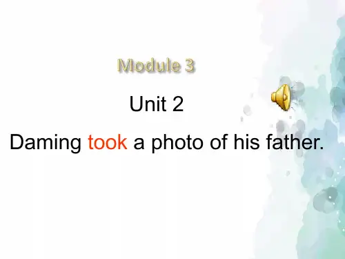 外研版(三起)-英语-五年级上册-外研版三起讲课Module3Unit2 Daming took a photo of his father.[1]课件