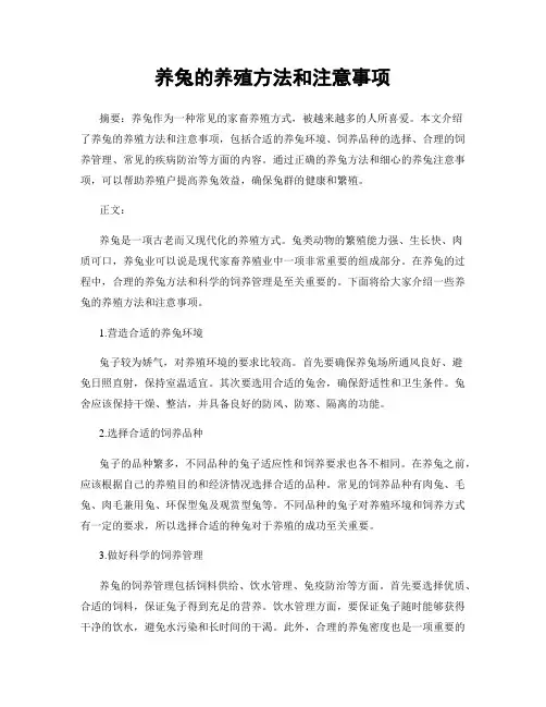 养兔的养殖方法和注意事项