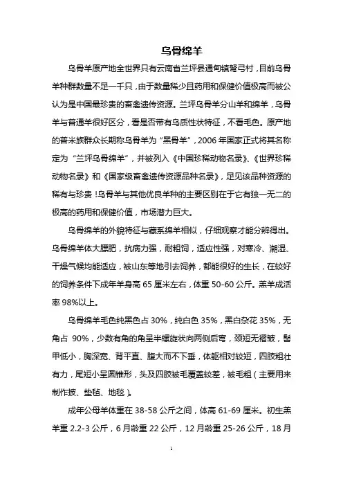 乌骨绵羊