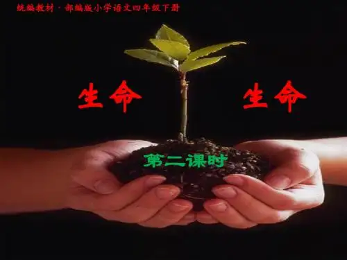 统编教材·部编版小学语文四年级下册《17、生命生命》教学PPT课件(正稿) 