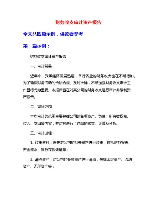 财务收支审计资产报告
