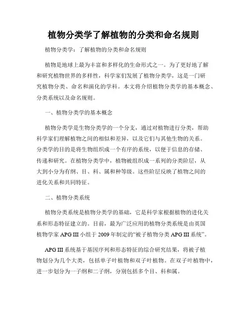 植物分类学了解植物的分类和命名规则