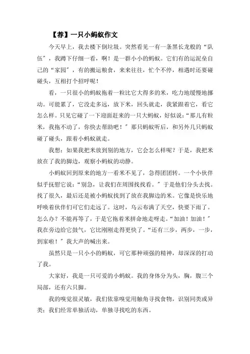 一只小蚂蚁作文精选