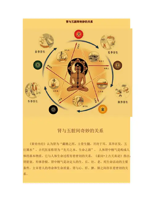 肾与五脏间奇妙的关系