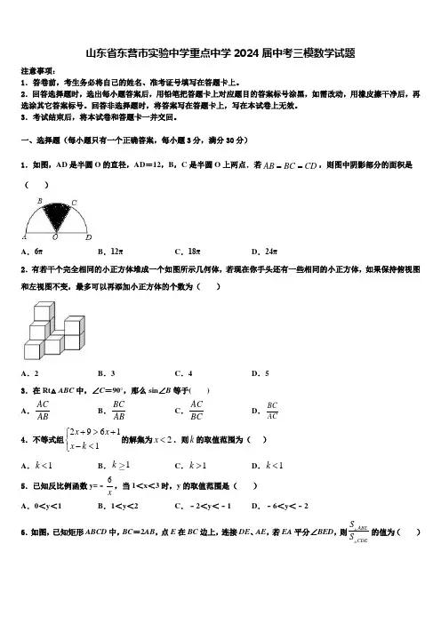 山东省东营市实验中学重点中学2024届中考三模数学试题含解析