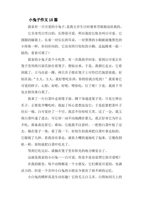 小兔子作文15篇精选