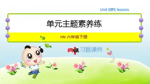 2021春HN版六年级英语下册 Unit 6 单元习题课件(付,64)