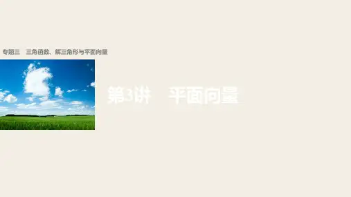 2018版高考数学理江苏专用大二轮总复习与增分策略配套课件：专题三 三角函数、解三角形与平面向量 第
