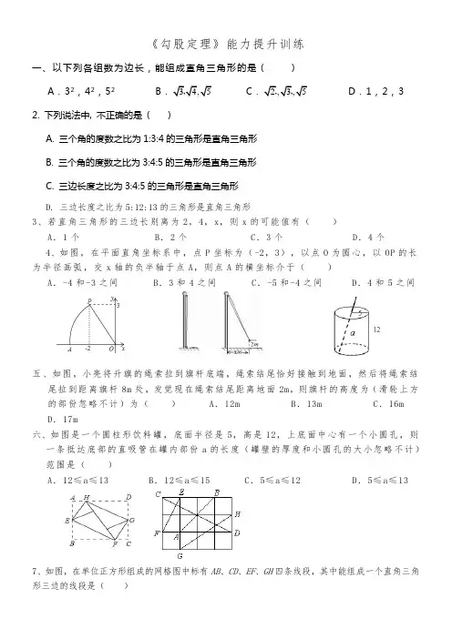 勾股定理能力提升训练(整理4)