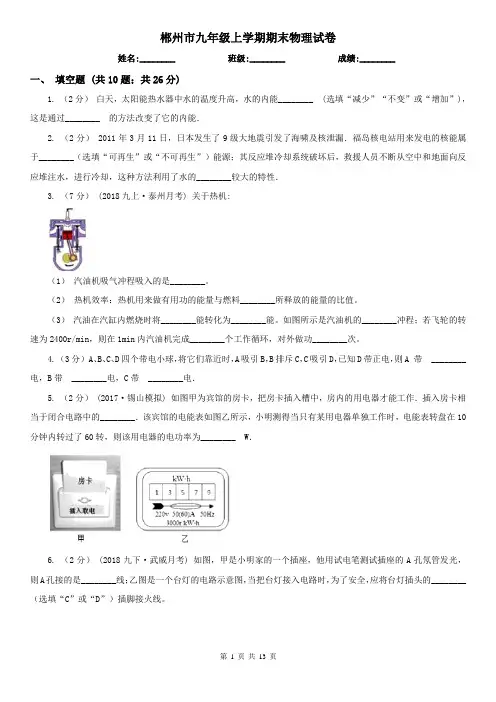 郴州市九年级上学期期末物理试卷