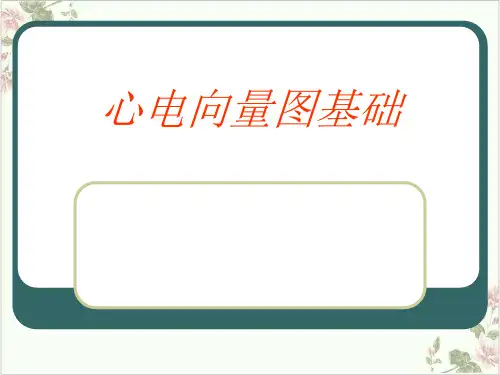 心电向量图基础PPT.
