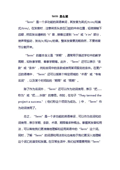 term 怎么读