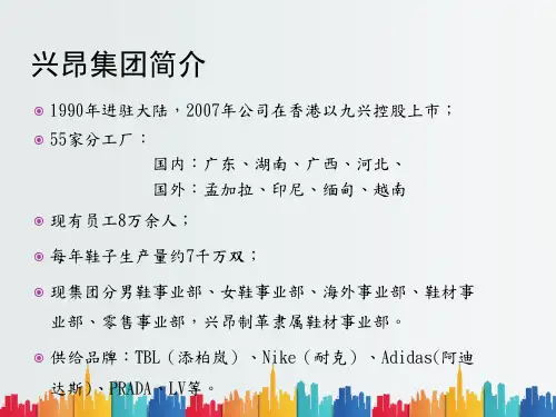最新整理兴昂制革xxx有限公司fcutw.ppt