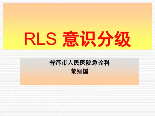 RLS 意识评分