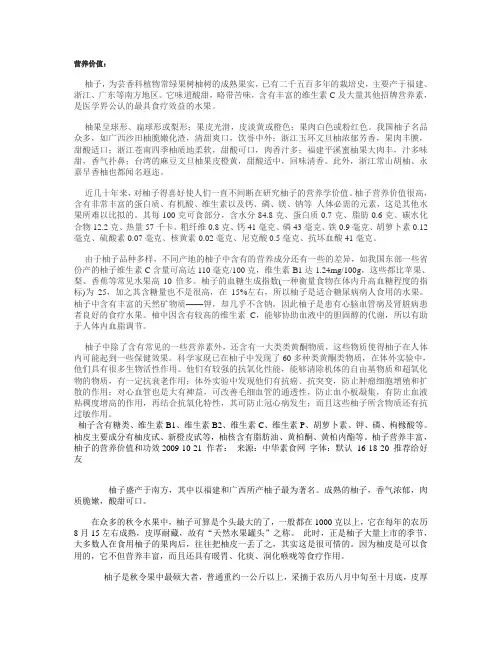 新建 RTF 格式