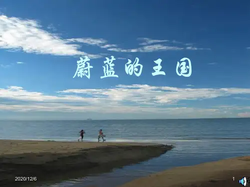 蔚蓝的王国精品PPT优质课件