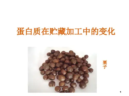 蛋白质在贮藏加工中的变化精品课件