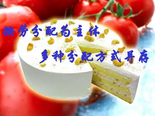 高中政治经济生活—分配方式