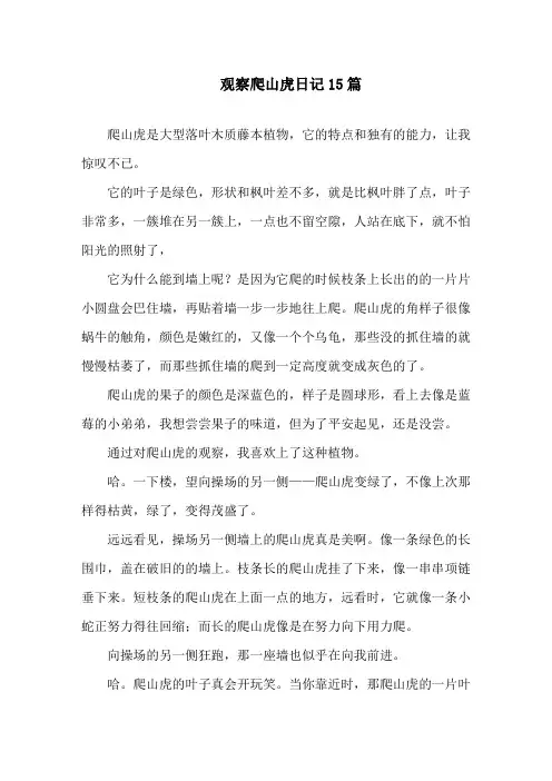 观察爬山虎日记15篇精选