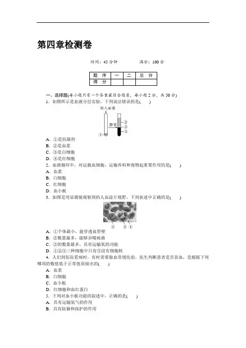 人教版七年级下册生物第四章检测卷及答案