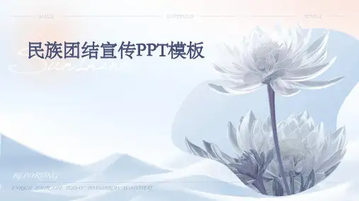 2024民族团结宣传PPT模板