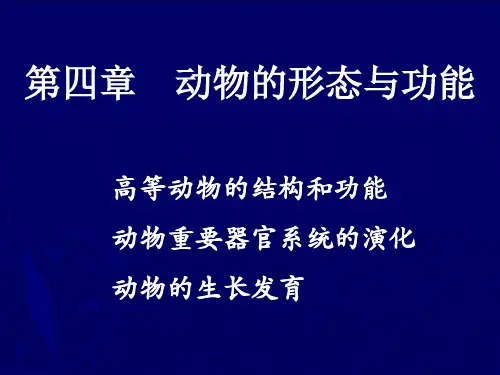 动物的形态与功能(12)PPT