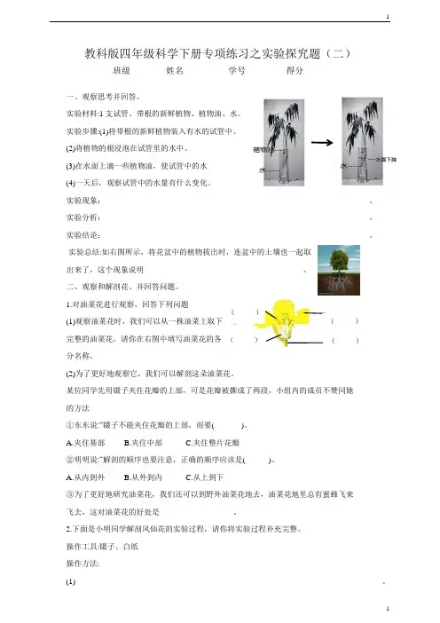 教科版小学科学新四年级下册科学专项练习之实验探究题(二)(含答案)