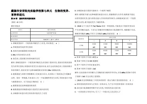 高考生物一轮复习 第七单元 生物的变异育种和进化 第讲 基因突变和基因重组