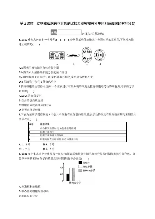 人教版2019高中生物必修一动植物细胞有丝分裂的比较及观察根尖分生区组织细胞的有丝分裂(含答案)