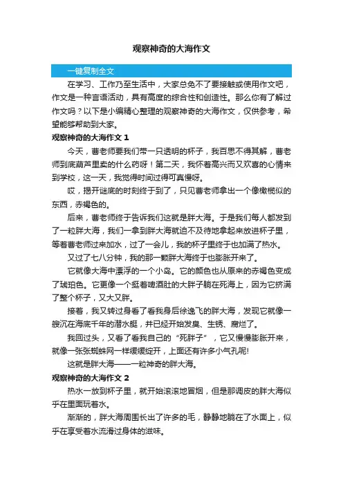 观察神奇的大海作文