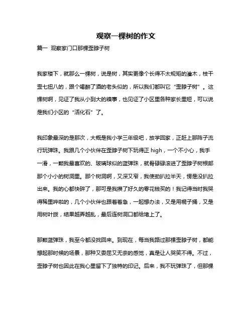 作文《观察一棵树的作文》