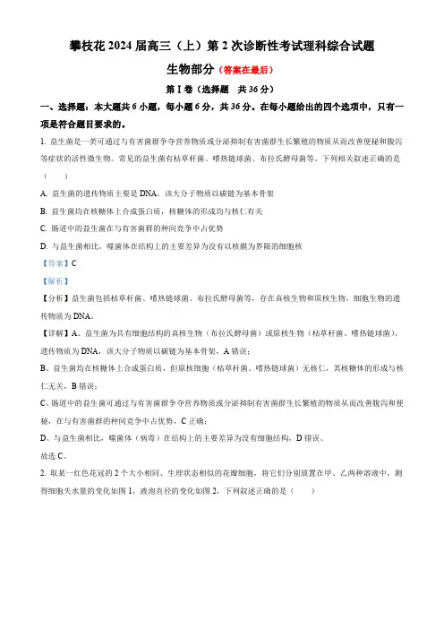 四川省攀枝花市2023-2024学年高三9月第二次诊断性考试理综生物试题含解析