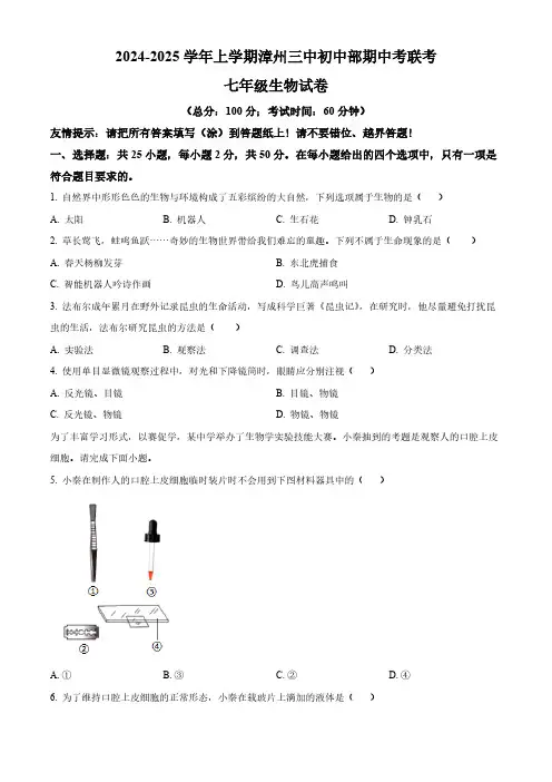 福建省漳州市第三中学2024-2025学年七年级上学期期中生物学试题(含答案)