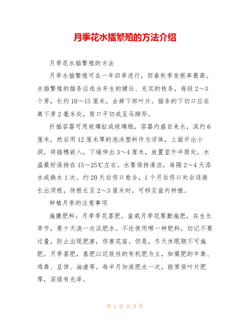 月季花水插繁殖的方法介绍