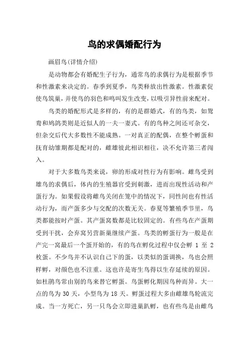 鸟的求偶婚配行为